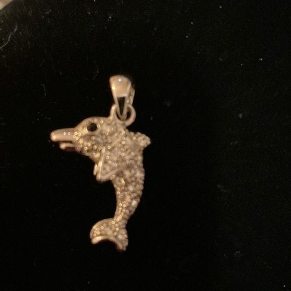 DOLPHIN 🐬 CHARM